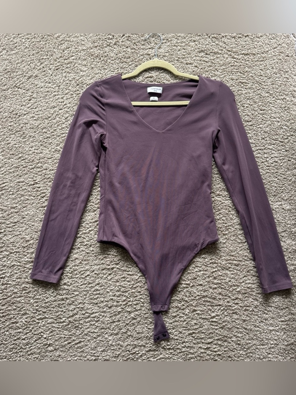 Aritzia Long-Sleeve V-Neck Bodysuit in Mauve Plum